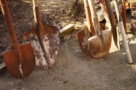 Set of rusty shovels. Old gardening tools.の写真素材