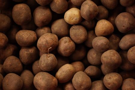 Background brown potatoes for seedlings in a peel.