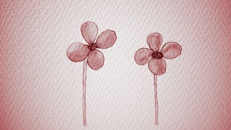 Two small flowers on a pink textured paper background.の写真素材