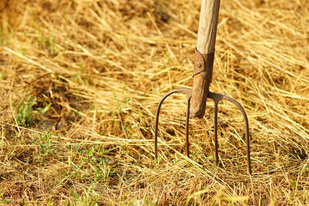 pitchfork tool near haystack in summer garden.の写真素材