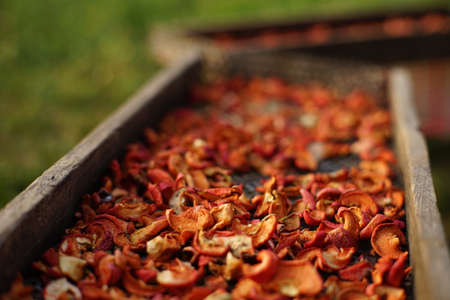 Apples slices are dried on a wooden tray in a summer garden.