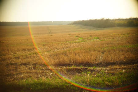 sunny autumn field with amazing sun light.
