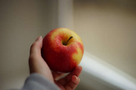 Ripe red apple in female hnd near the window.の写真素材