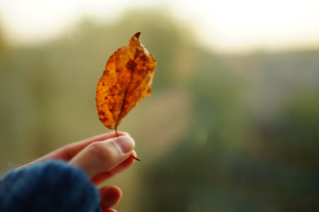 Old brown leaf in a female fingers on the naturall green background.