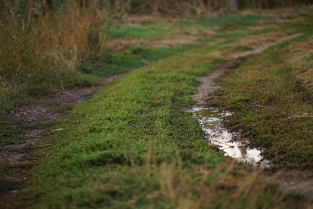 Wet country road with green grass and puddle on soil track.の写真素材