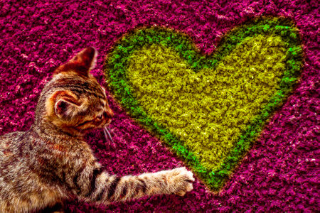 A kitten touches a heart on a stone wall with its paw. Place for text.の写真素材