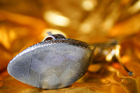 stylish snakeskin sandals on gold vinyl, sole view.