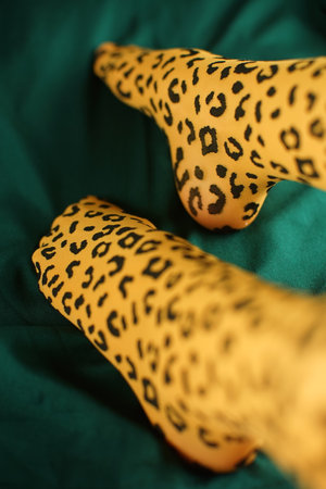 Yong female legs in tights with leopard print on emerald fabricの写真素材