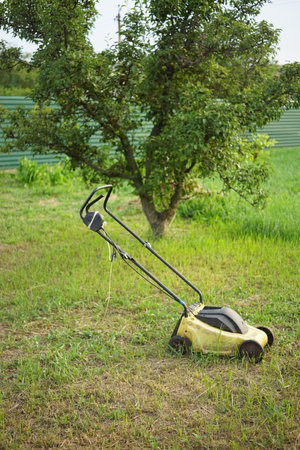 Yellow lawnmower on wheels stands on a mowed lawn in a summer garden. Pear tree on background.