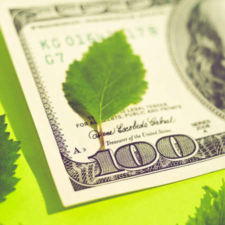 Hundred dollar bill and green leaves on sunny lime table.の写真素材