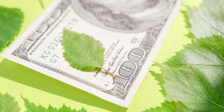 Closeup hundred dollar bill and green birch leaves on the vivid lime table.の写真素材