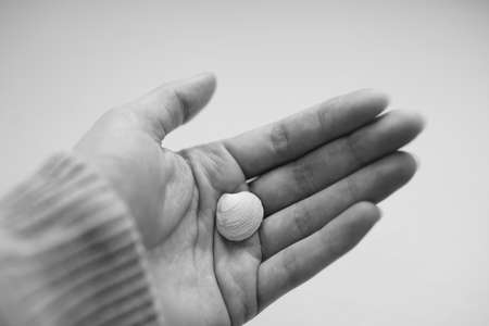 snail shell in human palm. Black and white photo.の写真素材