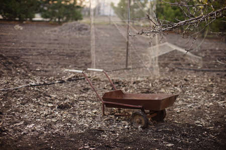 Old rusty cart on wheels stands in the spring garden.の写真素材