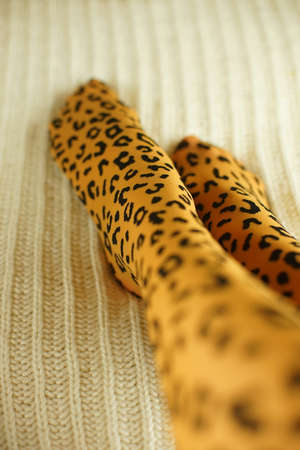 Female legs in leopard print tights on a white soft knitted sweaterの写真素材
