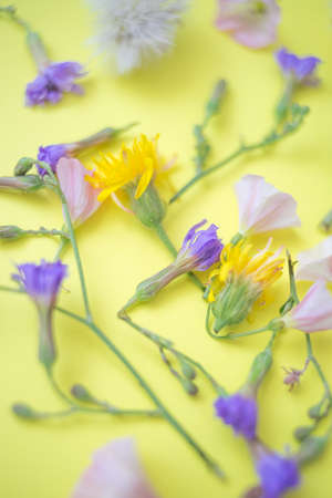 different wild flowers on the yellow paper, art card