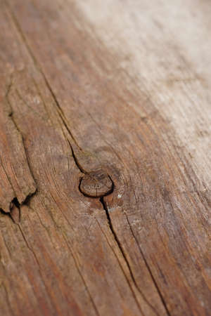 Old rustic weathered wooden background in wet brown with a knot.の写真素材