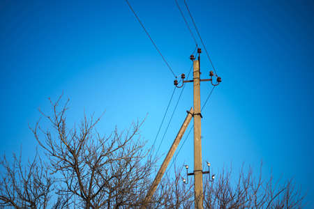 Electric pillar with wires and bare tree branches in blue sky.の写真素材