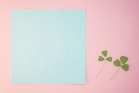 Pink background with two green clovers, copy space on blue blank paper.の写真素材