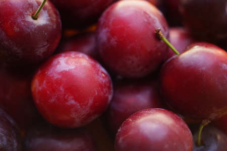 Red and purple plums background, fresh summer fruits.の写真素材