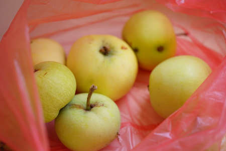 ripe green apples in a transparent pink bag on the tableの写真素材