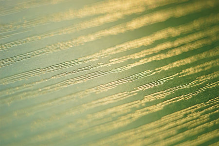 Green wooden background with golden texture.の写真素材