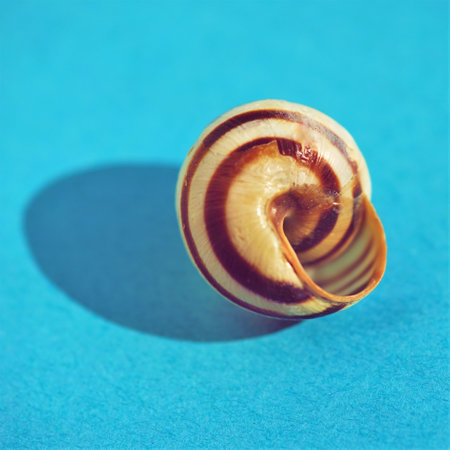 Old broken striped seashell on blue table.の写真素材
