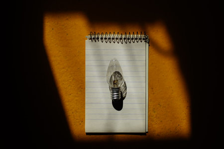Notebook with pen and light bulb on a sunny dark wooden table.