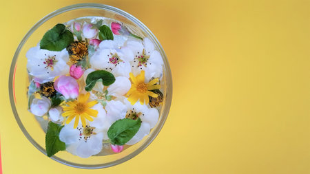 Yellow dandelions, white blooming flowers, green leaves floating in a bowl of water on a yellow table.の写真素材