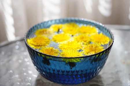 Yellow dandelions flowers floating in a blue glass bowl of water on a sunny day.の写真素材