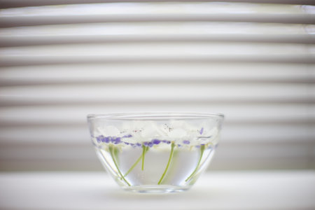 White blooming flowers and purple flower seeds in a glass bowl with water on white window sillの写真素材