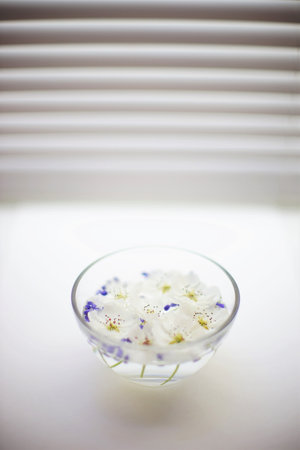 White blooming flowers and purple seeds in a glass bowl with water on white window sillの写真素材