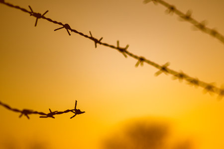 black barbed wire fence in orange sunsetの写真素材