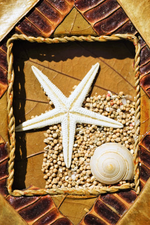 natural eco cover made of leaves, sand and seashells.の写真素材