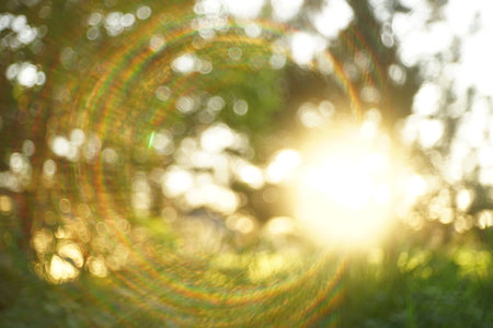 Colored round glare of the sun in the summer garden.の写真素材