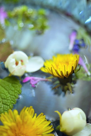 Different spring flowers with green leaves float in the water of a blue bowl.の写真素材
