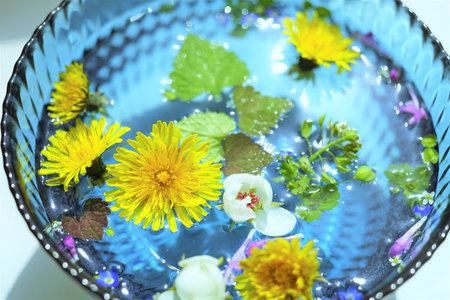 Cute pollen flowers and leaves float in the glass bowl with sunny water.の写真素材