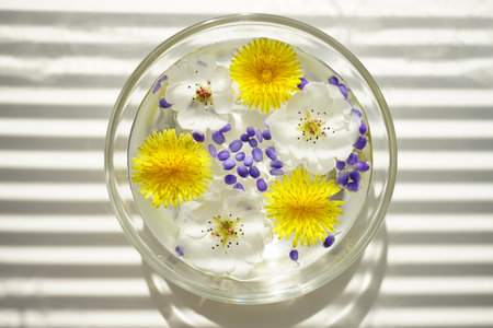 Yellow dandelions, white blooming flowers floating in a bowl of water on a sunny white table.の写真素材