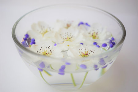 Yellow dandelions, white blooming flowers floating in a bowl of water on a sunny white table.の写真素材