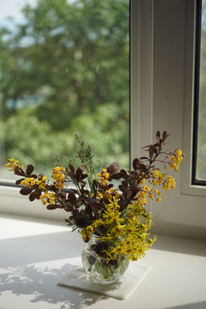 The branches of barberry bush with blooming yellow flowers in a glass vase on the windowsill.の写真素材