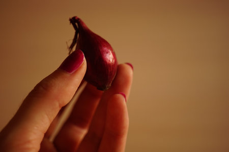 one small bulb for planting in female hand.の写真素材