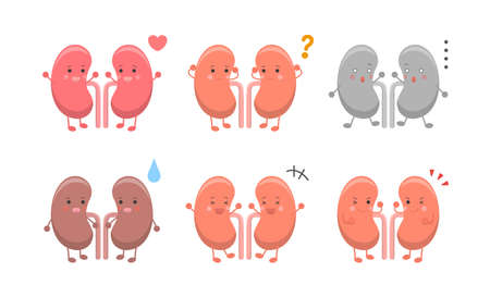 Human organs kidneys, expressions and actions setのイラスト素材
