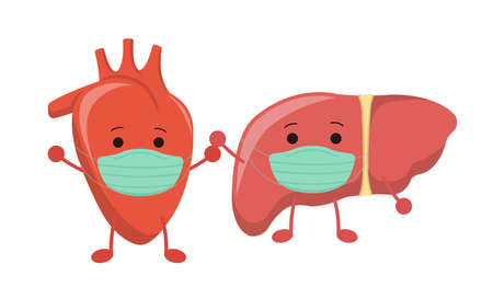 Organ wearing a mask, heart and liver, illustration icon cartoon character, vector flat design, isolated on white backgroundのイラスト素材
