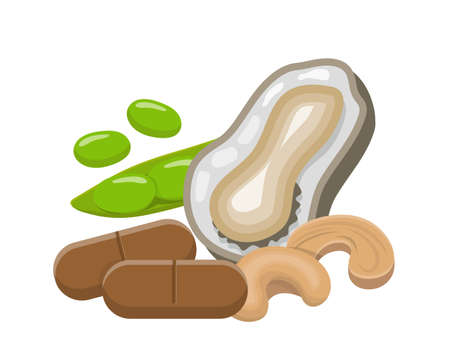 Zinc and oyster health food, vitamins, healthのイラスト素材