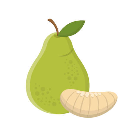 One fruit pomelo isolated in white backgroundのイラスト素材