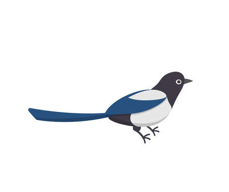 Magpie isolated on white background, bird cartoon comic vector illustration iconのイラスト素材