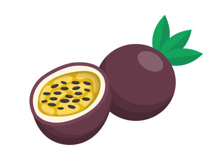 Passion fruit comic cartoon vector isolated on white backgroundのイラスト素材