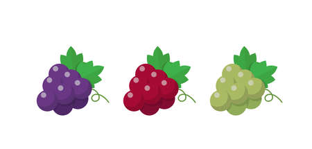 Three colors of grapes, comic cartoon vectorのイラスト素材