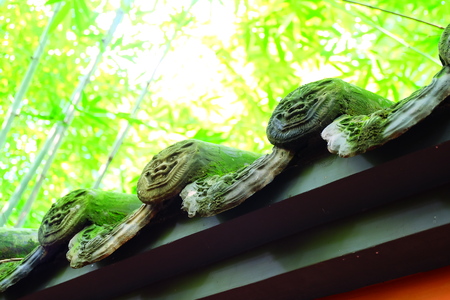 wall close upの写真素材