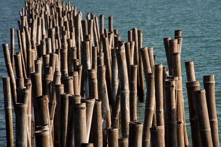 Bamboo barrier in the seaの写真素材