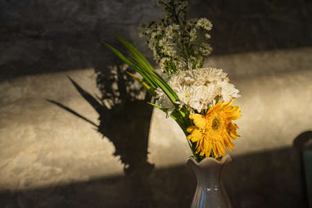 Bouquet of chamomile and sunflower flowers in a vase, with sunlight shadows on old dirty concrete wall background.の写真素材